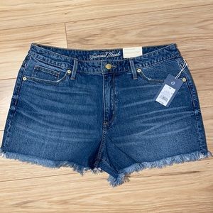 Universal Thread High Rise Shortie Shorts